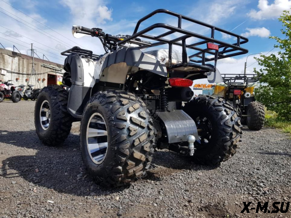 КВАДРОЦИКЛ RAPTOR ATV200U PREMIUM ALL 200СС 4Т