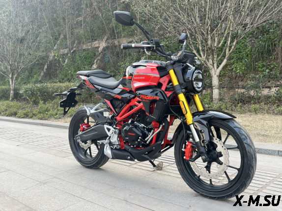 Мотоцикл PROMAX CB300