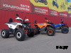 Квадроцикл PROMAX WILD 2.0 190 LUX