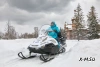 Снегоход STELS СТАВР MS 700 WT 4T