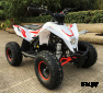 Детский квадроцикл бензиновый MOTAX GEKKON 90 cc 1+1 (Реверс)