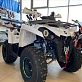 Квадроцикл PROMAX RENEGADE 300 WINCH