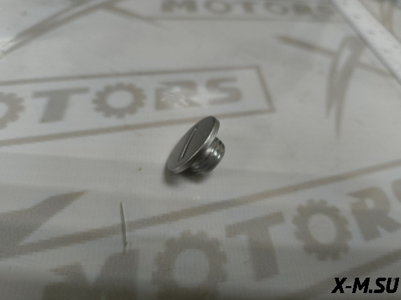 Пробка клапанной крышки_Пробка крышки генератора 1P75CVT-PRO