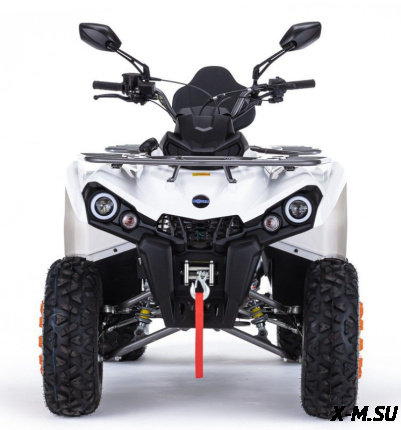 Квадроцикл бензиновый MOTAX GRIZLIK 200 ULTRA BIG