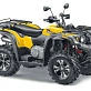 Квадроцикл STELS ATV 600 YL LEOPARD K01