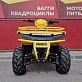 Квадроцикл IRBIS ATV125