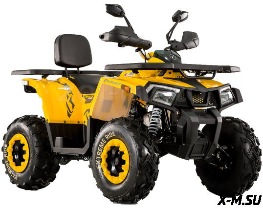 Квадроцикл MOTOLAND (МОТОЛЕНД) VOX200 WILD TRACK X (баланс. вал)