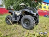 Квадроцикл PROMAX ATV 250