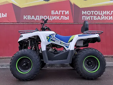 Квадроцикл PROMAX RENEGADE 280