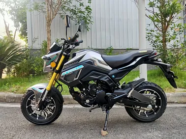 Мотоцикл PROMAX MSX150 CROM (49)